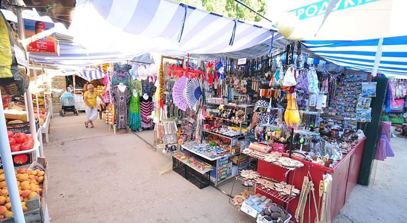 Гостевой дом Розовый Фламинго Саки-34