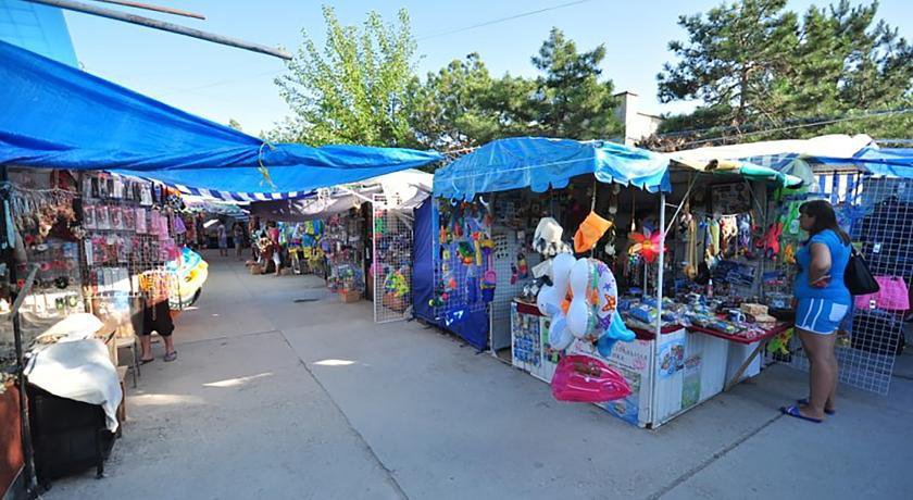 Гостевой дом Розовый Фламинго Саки-32