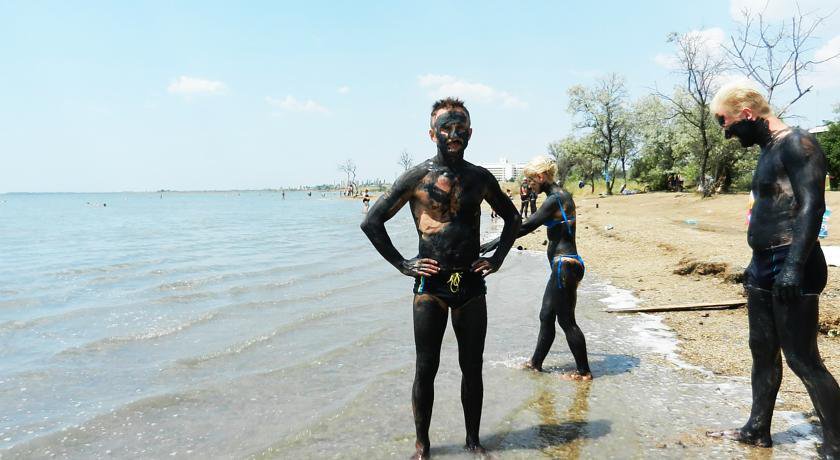 Гостевой дом Розовый Фламинго Саки-12